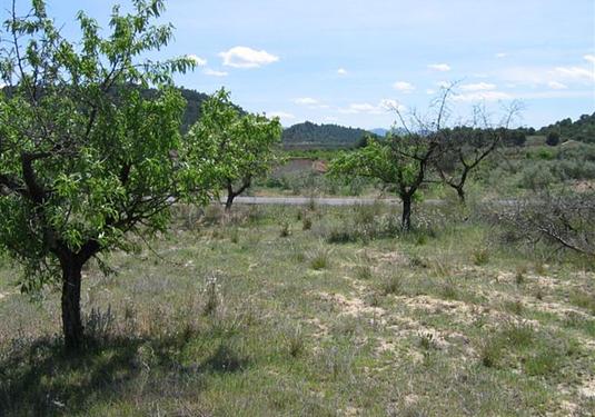 Land in Murcia