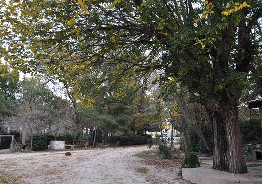 Town house in Pinoso