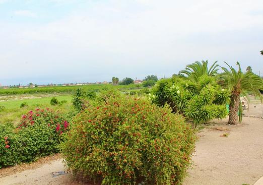 Other in Orihuela