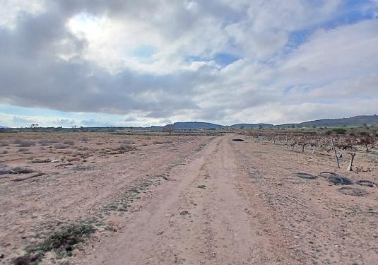 Land in Yecla
