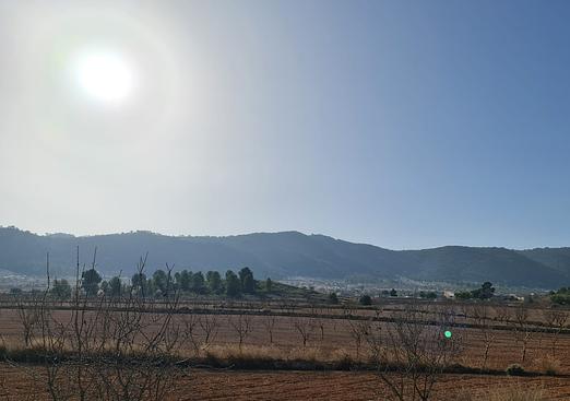 Land in Jumilla