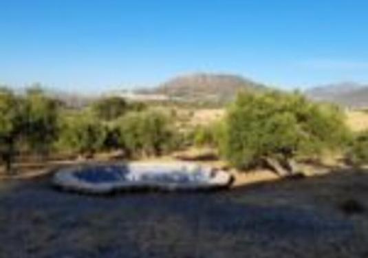 Country house in Alora