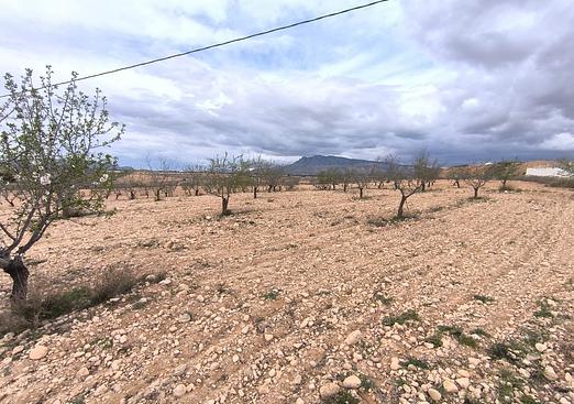 Land in Pinoso
