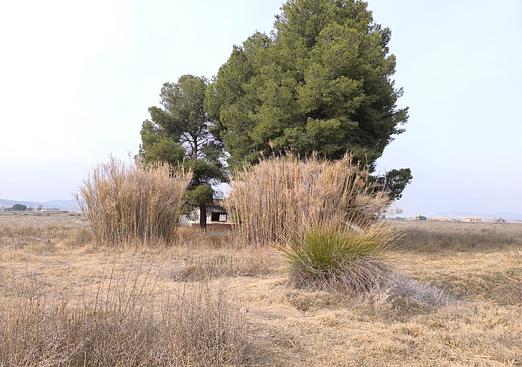 Other in Villena