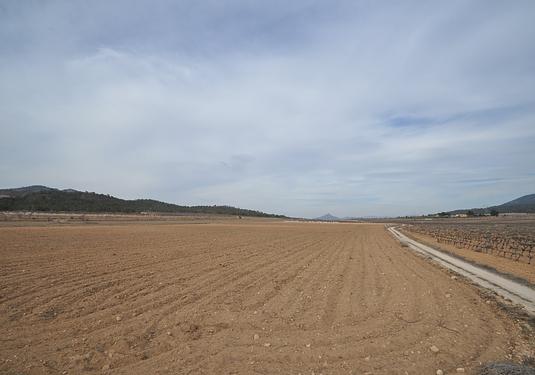 Land in Monóvar/Monóver