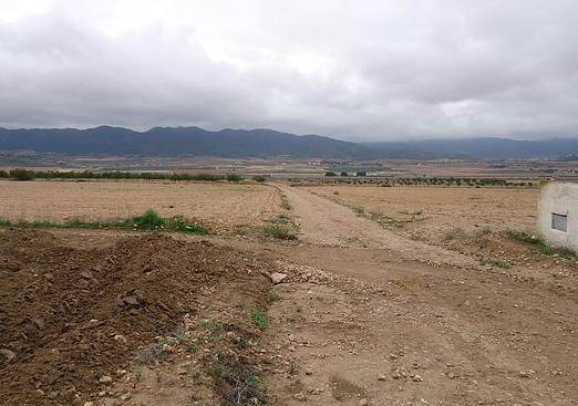 Land in Yecla