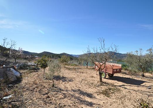Country house in Monóvar/Monóver