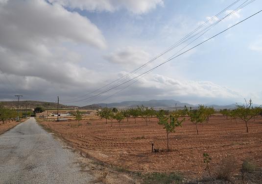 Country house in Pinoso