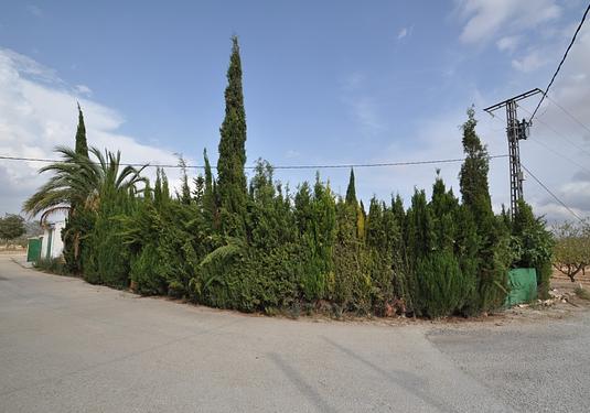 Country house in Pinoso