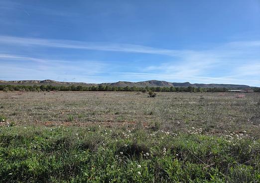 Land in Yecla
