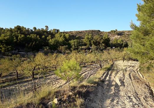 Finca in Torremanzanas