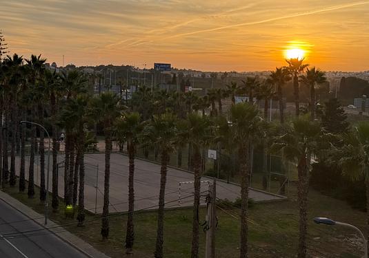 Apartment in Torrevieja