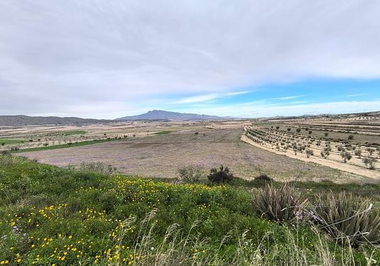 Property in La Zarza