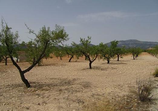 Land in Murcia