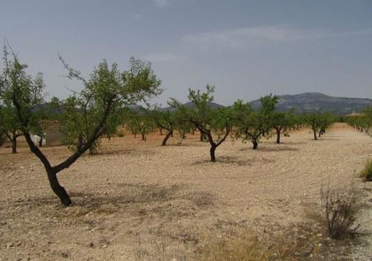Land in Murcia