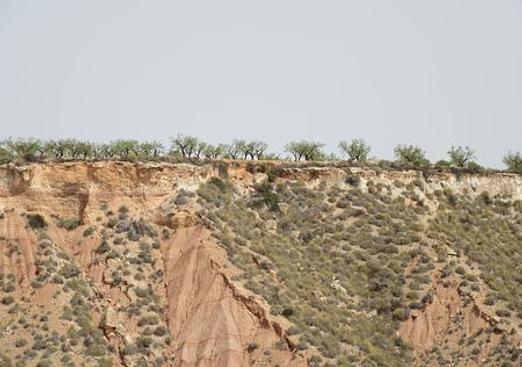 Land in Murcia