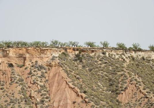 Land in Murcia