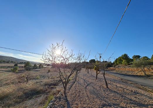 Land in Monóvar/Monóver