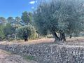 Land in La Zarza