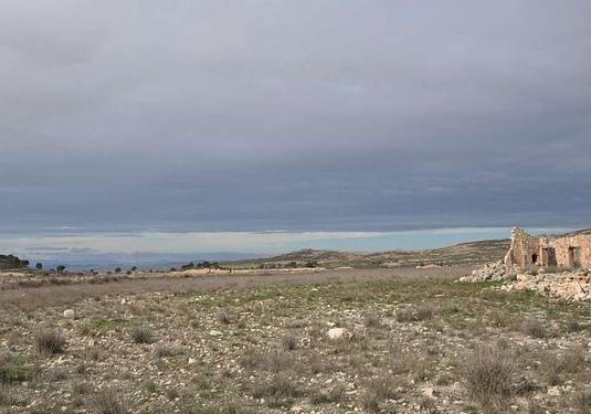 Other in Torre Del Rico