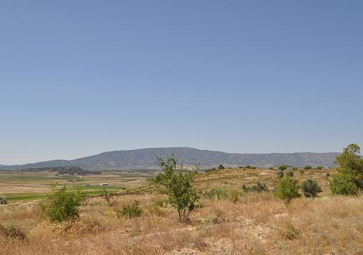 Land in Pinoso