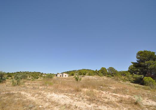 Land in Pinoso