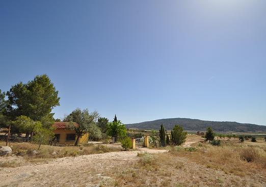 Land in Pinoso