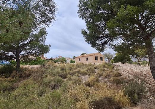 Other in Abanilla