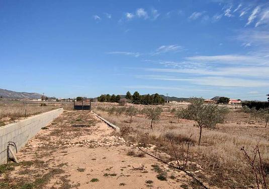 Country house in Pinoso