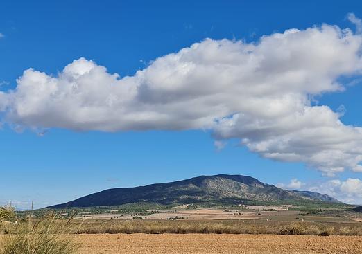 Land in Yecla