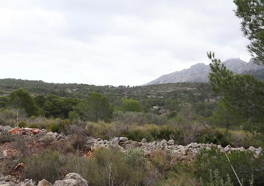 Land in Jalón