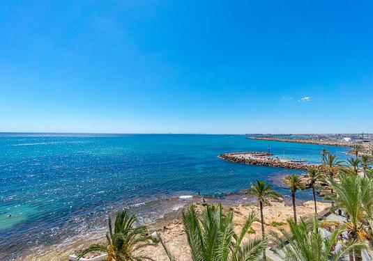Apartment in Torrevieja