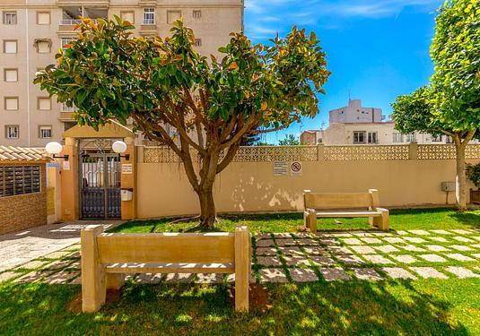 Apartment in Torrevieja