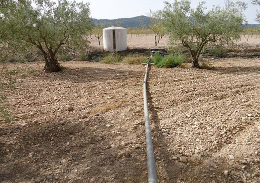 Land in Canada del Trigo