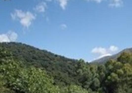 Finca in Casares