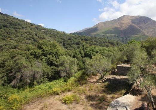 Finca in Casares