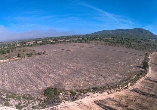 Land in Yecla