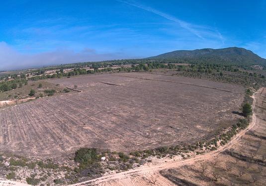 Land in Yecla