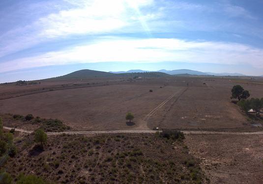 Land in Yecla