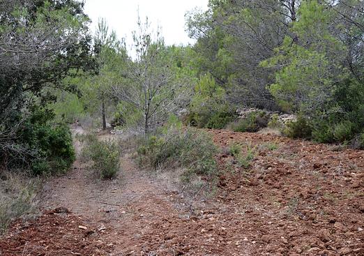 Land in Jalón
