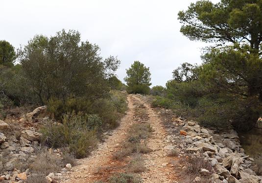 Land in Jalón