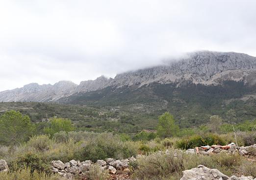 Land in Jalón