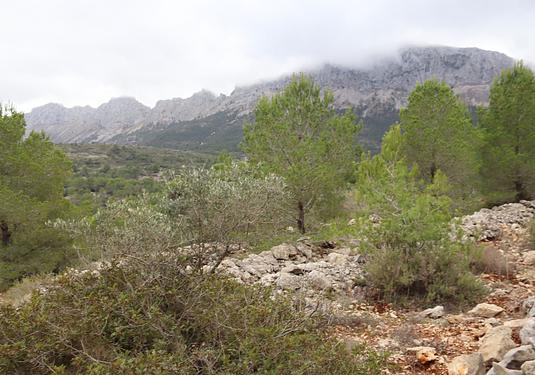 Land in Jalón