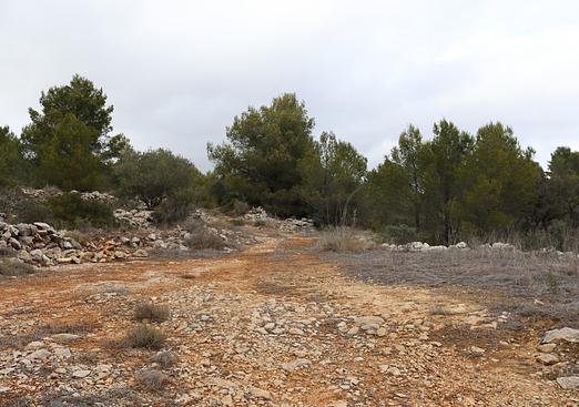 Land in Jalón