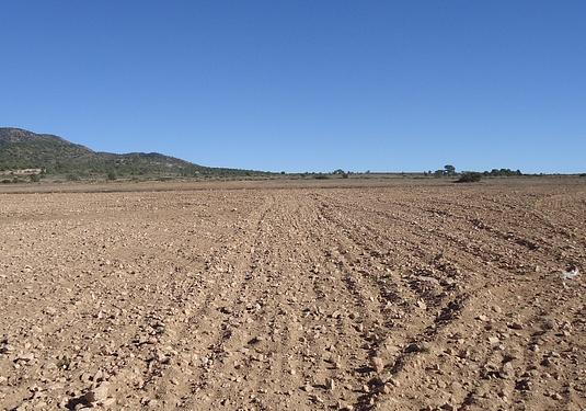 Land in Yecla