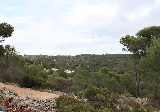 Land in Jalón