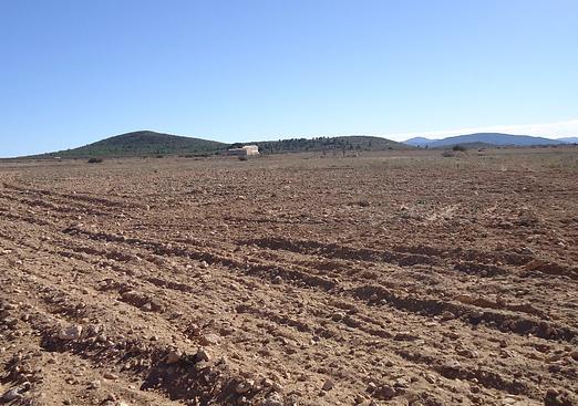 Land in Yecla