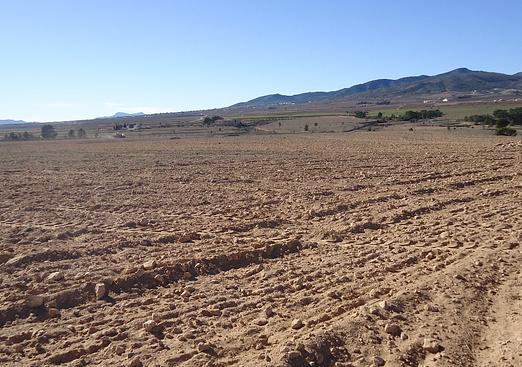 Land in Yecla