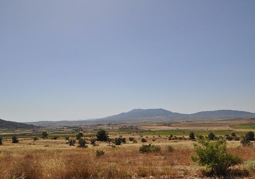 Land in Pinoso