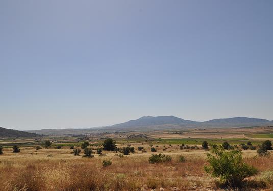 Land in Pinoso